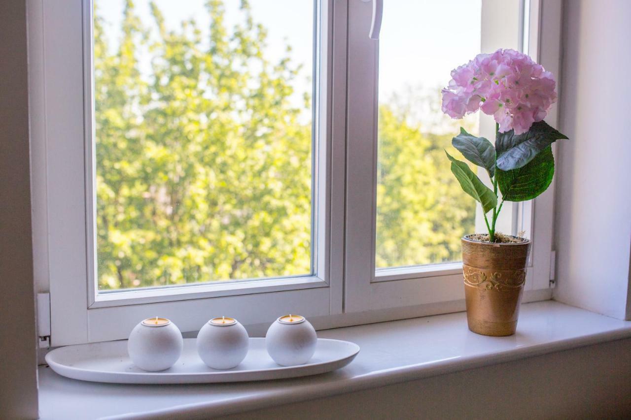 Sunhouse Apartment Stary Toruń Eksteriør bilde
